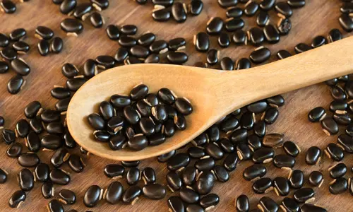 Mucuna Pruriens & Maca Root – Echoxen ear health ingredient