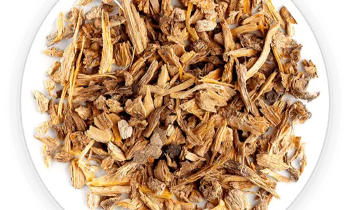 Dong Quai – Echoxen ear health ingredient