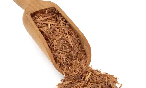 Catuaba Powder & Damiana – Echoxen ear health ingredient